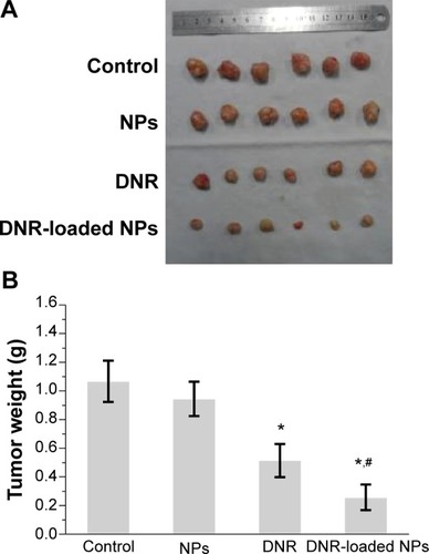 Figure 5 Appearance (A) and weight (B) of tumor at the end of the observation.Notes: *P<0.05, when compared with control group, #P<0.05, when compared with DNR group.Abbreviations: DNR, daunorubicin; NPs, nanoparticles.