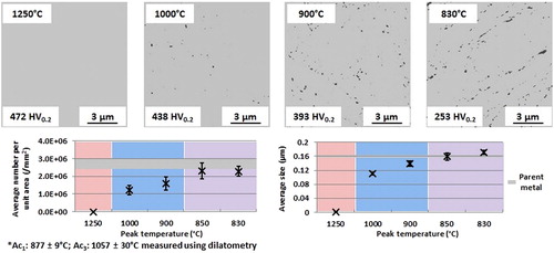 Figure 11. Comparison of the dissolution of carbides in the heat affected zone of a grade 92 steel for simulated peak temperatures of 1250, 1000, 900 and 830°C [Citation51].