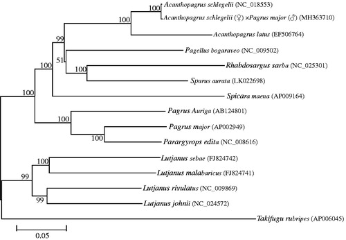 Figure 1. The NJ phylogenetic tree of Perciformes species. Numbers on each node are bootstrap values of 1000 replicates.