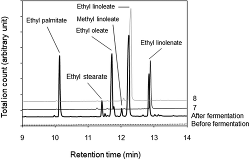 Figure 3. GC-MS chromatograms of the ethanol fractions and LC-UV peak fractions without methyl esterification.The peak numbers of the fraction are shown at the right side.