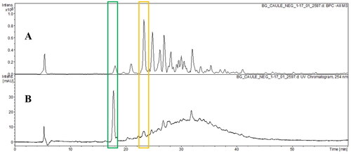 Figure 4. Base peak chromatogram (BPC) in negative ion mode (A) and UV chromatogram in 254 nm (B) of hydroethanolic extract from of B. guianensis stems by HPLC-DAD-ESI-MSn.