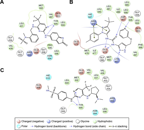 Figure S1 Two-dimensional representation of intermolecular interactions of Pyk2 inhibitors with the Pyk2 kinase domain.