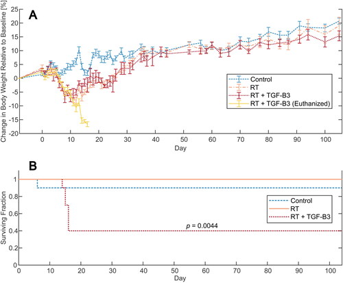 Figure 1. (A) Change in body weight relative to baseline for mice in the non-irradiated control, radiotherapy (RT) reference, and RT + transforming growth factor beta 3 (RT + TGF-β3) treated groups. A subset of mice in the RT + TGF-β3 group experienced severe weight loss and was euthanized, while the others recovered. (B) Kaplan Meyer survival plot of the non-irradiated control, RT reference, and RT + TGF-β3 groups. Survival in the RT + TGF-β3 group was significantly lower than the others (p = .0044, log-rank test).