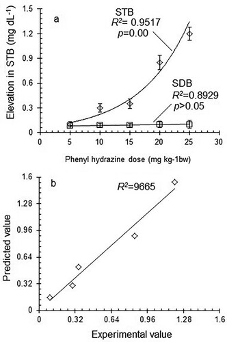 Figure 1. a) Dose-dependent response of serum total bilirubin (STB) and serum direct bilirubin (SDB) towards phenyl hydrazine, b) Correlation between experimental and predicted values of STB.