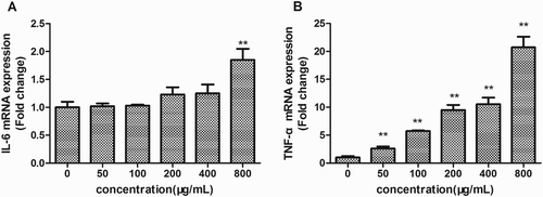 Figure 4. Effects of EPS on IL-6 (a), and TNF-α (b) transcription of RAW 264.7 cells. Cells were incubated with EPS (0, 50, 100, 200, 400 and 800 μg/mL) for 24 h, then the mRNA expression of IL-6 and TNF-α were analyzed using real-time PCR. Values are mean ± SEM of three independent experiments.