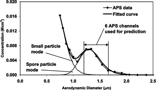 FIG. 4 Example of curve fitting process described in text for estimating the total number of single-spore-containing particles from the APS data. This example uses two lognormal curves modified for settling that are summed up to fit the APS size distribution data. For the prediction values, only data from the range indicated (1.114 to 1.596 μm) are used. The fitted APS size distribution was deconvoluted to estimate the total number of spores in the spore particle mode. In this example, the measured APS range was 85% of the entire spore distribution.