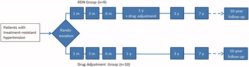 Figure 1. Flowchart illustrating the outline of the Oslo RDN study and the two groups; the Renal Denervation group, and the Drug Adjustment group. The box containing ‘1 y + drug adjustment’ denotes in the RDN group the start of drug adjustment in this group. The dotted lines illustrate a planned follow-up visit 10 years after randomisation.