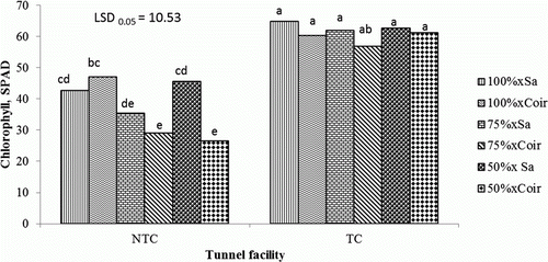 Figure 5.  Interaction effects of growing media, fertigation and tunnel facility on leaf chlorophyll concentration of tomato at 84 days after transplanting. TC, temperature-controlled tunnel; NTC, non-temperature-controlled tunnel; Sa, sawdust; 50%, 75%, 100% percentage of nutrient concentration; LSD, least significant difference; values marked with the same letter are not significantly different (p>0.05).