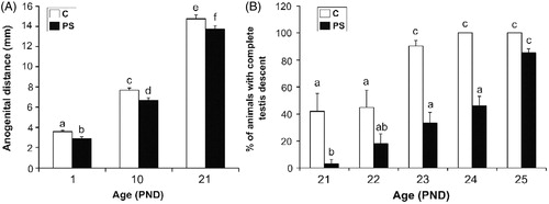 Figure 2. Effect of prenatal stress on the sexual development landmarks of male pups. C, control; PS, prenatal stress; PND, postnatal day. (A) Values represent the mean anogenital distance ± SEM. Groups with no letters in common are significantly different (two-way ANOVA followed by main effects analyses: p < 0.001 for prenatal treatment factor effects; p < 0.001 for age factor effects; n = 7). (B) Values represent the mean percentage ± SEM of rats per litter in which both testes descended into the scrotal sac. Groups with no letters in common are significantly different (Repeated measures ANOVA followed by simple effects ANOVA analyses: p < 0.05 for C versus PS rats at PND 21; p < 0.001 for C versus PS rats at PND 23; p < 0.001 for C versus PS rats at PND 24; p < 0.001 for age factor effect in C group and p < 0.001 forage factor in PS group; n = 4–5 litters per treatment).