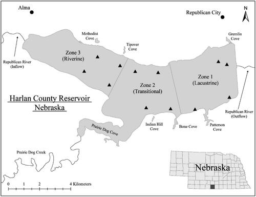 Figure 1. Map of Harlan County Reservoir, Nebraska (adapted from aerial imagery taken by the USDA-NRCS, 13 July 2016; surface water elevation ∼591 m.a.s.l.) and surrounding towns. Reservoir zones were previously established by Peterson et al. (Citation2005). Black triangles represent sampling stations within each zone.