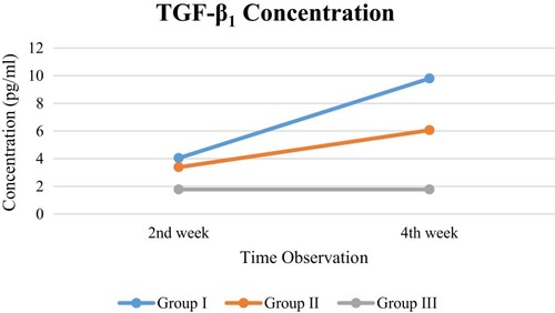 Figure 3 TGFβ1-concentration pattern.
