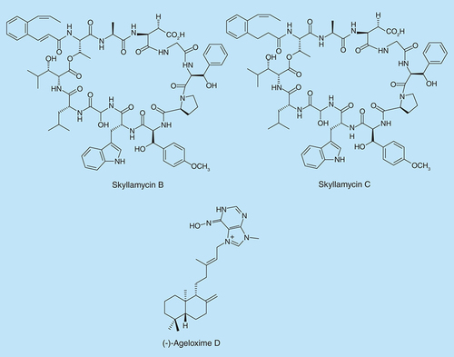 Figure 11.  Skyllamycins and (-)-ageloxime D structures.