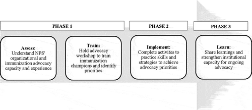 Figure 1. General AAP phased approach to pediatric society immunization advocacy strengthening