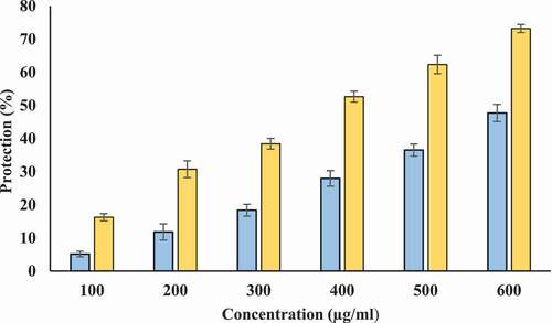 Figure 11. Percentage protection of heat induced denaturation of egg albumin. X-axis indicates the various concentrations (100–600 µg/ml) of Tamarix extract (blue) and T-AgNPs (yellow). The results are presented as means ± SEM (n = 3, p < .05)