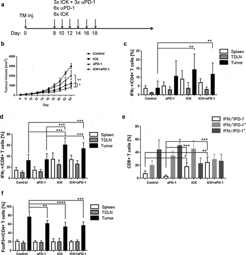 Figure 6. Effect of combined anti-PD-1 and ICK therapy in the E0771 model. (a) Study design scheme indicating tumor injection and immune therapy schedule. (b) ICK alone or in combination with anti-PD-1 antibody shows the superior tumor growth inhibition in comparison to anti-PD-1 therapy alone (1 of 2 experiments shown, n = 4 per group). (c) Increase of IFNγ production in tumor-infiltrating CD4+ T cells from ICK alone or in combination with anti-PD-1-treated mice, analyzed by flow in indicated tissues (pooled, n = 8–9 per group). (d) Increase of IFNγ production in tumor-infiltrating CD8+ T cells from ICK alone or in combination with anti-PD-1-treated mice, analyzed by flow in indicated tissues (pooled, n = 8–9 per group). (e) Flow analysis of IFNγ and PD-1 expression on tumor-infiltrating CD8+ T cells (n = 5 per group). (f) Flow analysis of CD4+/FoxP3+ Treg population in indicated tissues (pooled, n = 8–9 per group). ****p < .0001; ***p < .001; **p < .01. TDLN – tumor-draining lymph nodes