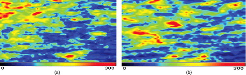 Figure 2. Comparison between pre- (a) and post-treatment blood perfusion (b) images in the negative control group.