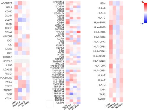Figure 14 The correlation analysis between key genes expression and immune checkpoint genes’ expression using TISIDB website.
