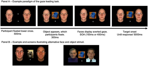 Figure 1. Panel A: Example timecourse of displays presented in a single trial, progressing from left to right. The faces are examples of “low dominance” stimuli used in Experiments 1–3, and the example trial represents a congruent “joint attention” condition because the target appears on the face that followed the participant’s eyes to the object. Panel B: The left image illustrates an example of high physical-dominance faces and a threat related object, and the right image contains examples of the faces from Experiment 4.