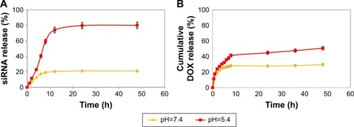Figure 3 pH-sensitive release study of YSA-L-siRNA-DOX in pH=5.4 and 7.4.Note: (A) siRNA release and (B) DOX release.Abbreviation: DOX, doxorubicin.