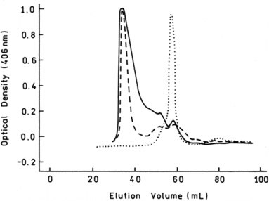 Figure 4 Size exclusion chromatography of HbA (Ve 60 ml, as for a protein with MW 64 kDa) and Hb (Polytaur)n (Ve 38 ml = exclusion volume of the column, as for proteins with MW > 1 million).