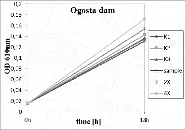 Figure 3. Pseudomonas putida growth inhibition tests for Ogosta dam. K1, K2, K3 – triplicate tests for the control; sample – undiluted water; 2× – water diluted twofold; and 4× – water diluted fourfold.