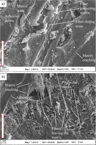 Figure 11. SEM images of unfilled composite specimens’ worn surfaces at 150 °C, a)10 N, b) 30 N.