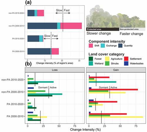 Figure 5. Interval level change components (a) and category level losses and gains (b) in terms of intensity at two time periods within protected and non-protected areas of Leuser Ecosystem.
