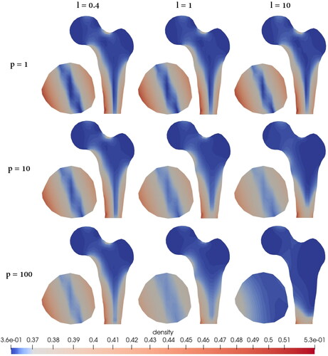 Figure 11. Density distribution inside a femoral head by performing the variation of the length scale and penalty parameter.