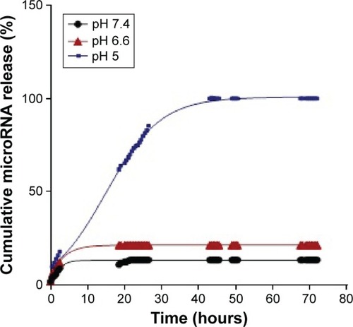 Figure 2 In vitro release.Notes: Release profiles show that only a limited amount of microRNA-29b was released at pH values 6.6 and 7.4. However, an optimal release was observed at pH 5.