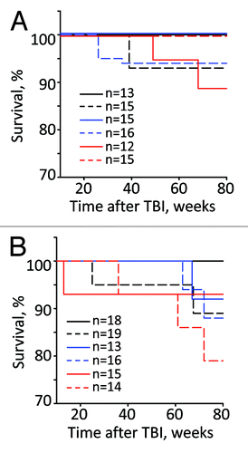 Figure 1. The Kalpan–Meier survival curves of male (A) and female (B) WT (black), Per1−/− (blue) and Per2−/− (red) mice after exposure to 4 Gy of TBI. Untreated animals, solid line; irradiated animals, dashed line. Total numbers of animals used in each group are shown on the graph