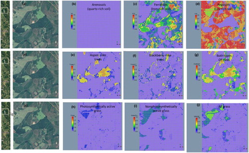 Figure 9. Mapping and verification of fractional landscape components in region 1 of the Hyperion scene: (a) Google Earth image, (b) quartz-rich Arenosols (A9), (c) iron-rich Nitisols (A14), (d) clay-rich Latosols (A16), (e) Forest1 (Aspen-like trees), (f) Forest1 (Blackberry-like trees), (g) FOREST (all), (h) GrassDry (nonphotosynthetically active), (i) Grass (photosynthetically active), (j) GRASS (all).