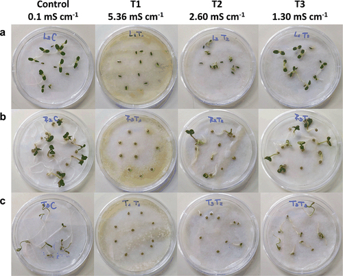 Figure 6. Effect of dried-sludge aqueous extract at different EC values on germination of seeds of (a) L. sativa, (b) R. sativus, and (c) S. lycopersicum (n = 3).