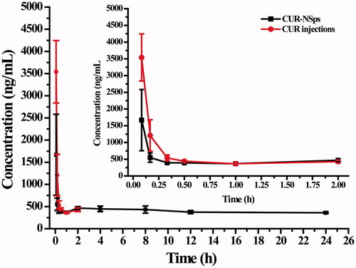 Figure 4. The mean plasma concentration of CUR after intravenous administration of CUR-NSps and CUR injections at a single dose of 10 mg/kg body weight (mean ± SD, n = 10).