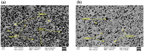 Figure 11. SEM microstructures (a) DCT tungsten carbide tools (36 h soaking duration). (b) Untreated tool.
