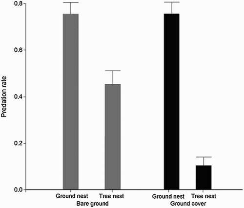Figure 1. Nest predation rate as a function of the interaction between cover type (ground cover vs. bare ground) and nest site (ground vs. tree) based on the 25 nests in each of the treatments ± sd.