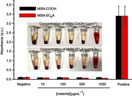 Figure 7 Hemolytic assays for MSN-COOH and MSN-SC6A. The RBCs were collected by centrifugation of heparin-stabilized rat blood samples. The concentration of MSN-COOH or MSN-SC6A varied from 10 μg·mL−1 to 1000 μg·mL−1. PBS and water which incubated with the diluted RBC suspension were served as negative and positive controls, respectively (mean ± SD, n=3 for each sample).Abbreviations: MSN-COOH, MSN modified by carboxyl; MSN-SC6A, MSN conjugated with p-sulfonatocalix[6]arene; RBCs, red blood cells; PBS, phosphate buffer saline.