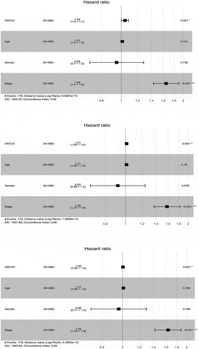 Figure 6. Multifactorial Cox analysis for independent prognostic analysis