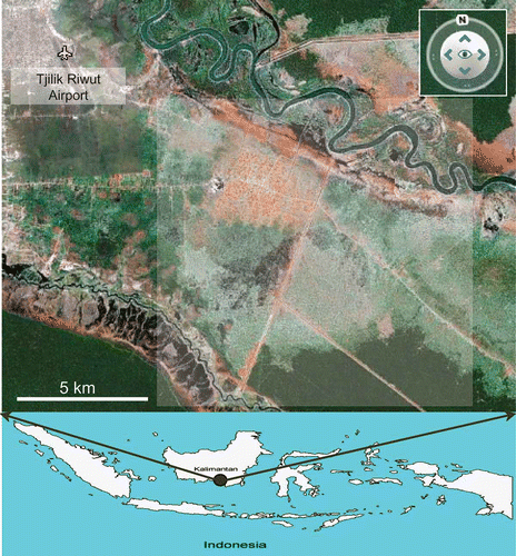 Fig. 1 Study area and location of climatic station. The shaded area is the location of the study (Block C of ex-MRP). Hydrological data were recorded at the climatic station at Tjilik Riwut Airport, Palangkaraya, which is about 10 km from the study area.