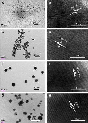 Figure 2 MVS-GNP images of synthesized GQDs and GNPs.Notes: (A, C, E, and G) show the various sizes of the GQDs: (A, <10 nm) and GNPs (C, E, and F, 10–15, 20–30, and 45–50 nm, respectively), whereas (B, D, F, and H) show HR-TEM images depicting the differences between the two lattice fringes, which are in the range of ~0.233 to ~0.236 nm, respectively. The HR-TEM observations indicate the crystallinity of the synthesized products.Abbreviations: GQD, gold quantum dot; GNP, gold nanoparticle; HR-TEM, high-resolution transmission electron microscopy.