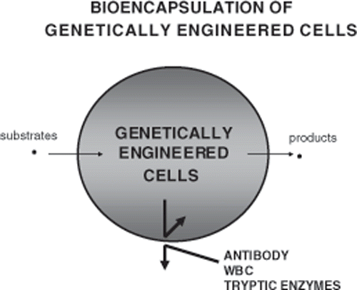 Figure 12. Basic principle of bioencapsulation of genetically engineered cells is the same as for cell encapsulation.
