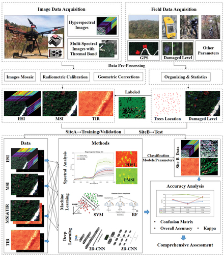 Figure 2. UAV-based remote-sensing data analysis processing framework for a comprehensive assessment of different PWD infection stages.