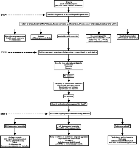 Figure 1. Suggested management algorithm for patients with acute antibiotic-refractory pouchitis. NSAIDs, nonsteroidal anti-inflammatory drugs; MSC, microscopy, culture and sensitivity; CMV, cytomegalovirus