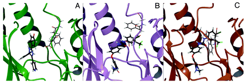 Figure 9. Binding mode of SB202190 to p38α in the DFG-in conformation (PDB ID: 1A9U) (A). Lowest energy binding mode of sorafenib to p38α in the DFG-in conformation after Induced Fit Docking (IFD) (B). Binding mode of sorafenib to p38α in the DFG-out conformation (PDB ID: 3HEG).