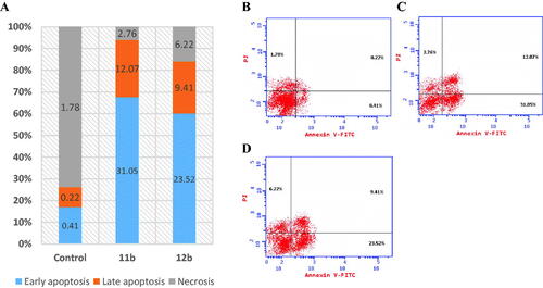 Figure 4. Apoptosis rate quantification (%) and necrosis in (A) flow cytometry, effect of (B) control, (C) 11b and (D) 12b on annexin V-FITC-positive staining (%) in T47D cell line.