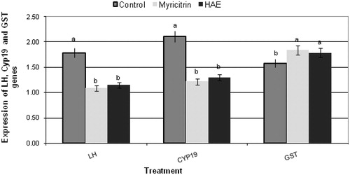 Figure 2. Effect of myricitrin (30 mg/kg bw/d) and Albizia amara hydroalcholic leaves extract (HAE) (200 mg/kg bw/d) on gene expression of luteinizing hormone (LH) and aromatase (CYP19), fertility-related genes isolated from ovarian tissues and glutathione transferase (GST), antioxidant-related gene isolated from liver tissues, of treated female mice. Note: Gene expression analysis was carried out using quantitative real-time PCR analysis. All results were expressed as a,bMeans with different letters, within tissue. One-way analysis of variance (ANOVA) using the Statistical Package for the Social Sciences (SPSS Inc., Chicago, IL) program, version 11 followed by least significant difference (LSD) was used to compare significance between groups. Difference was considered significant when p ≤ 0.05.