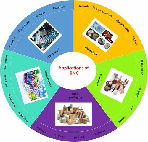 Figure 5. Applications of bacterial nanocellulose in different industries