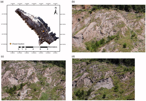 Figure 12. Chosen location for surface soil loss observations: (a) the location in the Dubračina catchment, (b) photograph of the location taken in June 2014, (c) photograph of the location taken in June 2015 and (d) photograph of the location taken in July 2016.