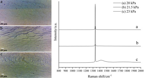 Figure 8. Optical photograph of SCD lateral growth transition zone and the corresponding Raman spectrum, (a) 20 kPa; (b) 21.5 kPa; and (c) 23 kPa.