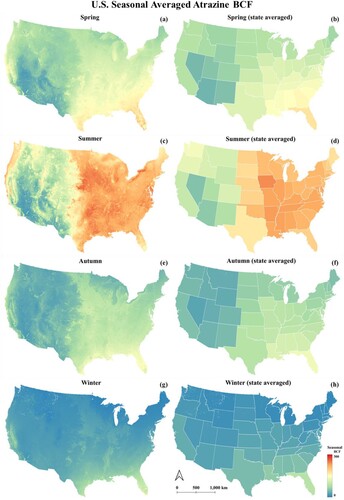 Figure 6. (a) U.S.A. spring Atrazine BCF map (b) U.S.A. state average spring Atrazine BCF map (c) U.S.A. summer atrazine BCF map (d) U.S.A. state average summer Atrazine BCF map (e) U.S.A. autumn Atrazine BCF map (f) U.S.A. state average autumn Atrazine BCF map (g) U.S.A. winter Atrazine BCF map (h) U.S.A. state average winter Atrazine BCF map.