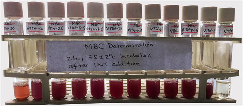 Figure 2. MBC determination of crude aqueous extract of VTTN against S. aureus.